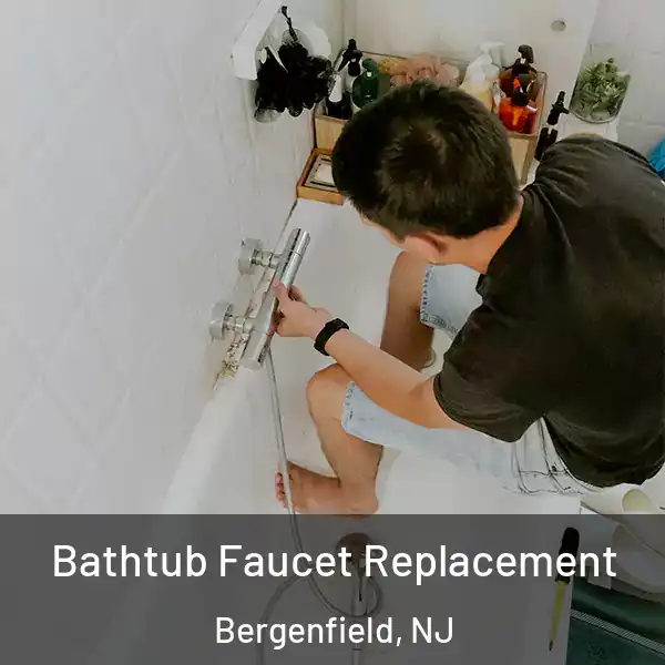  Bathtub Faucet Replacement Bergenfield, NJ