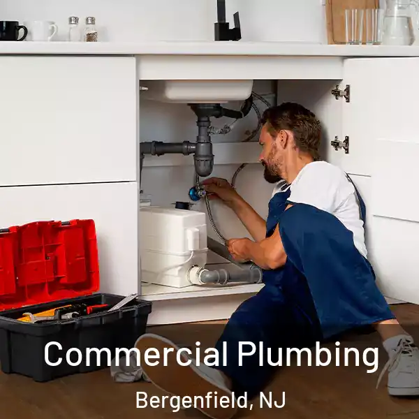 Commercial Plumbing Bergenfield, NJ