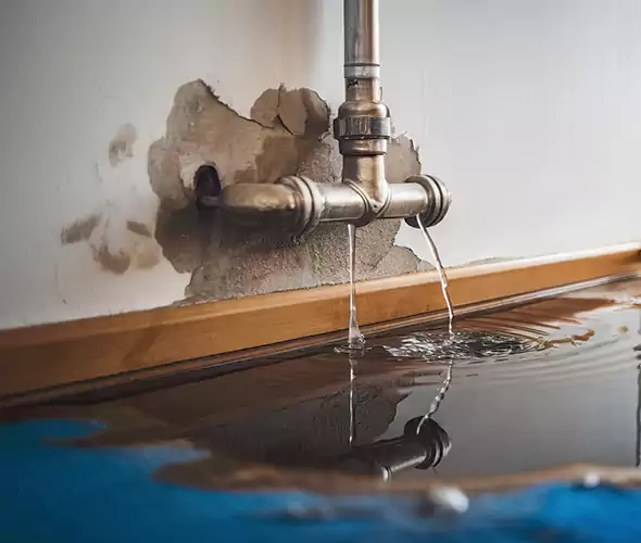 Professional Water Damage Restoration Experts in Bergenfield, NJ — Fast, Reliable & Certified