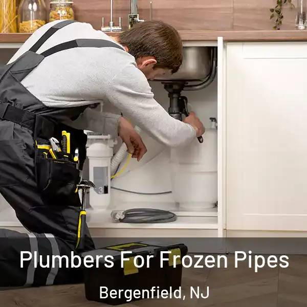  Plumbers For Frozen Pipes Bergenfield, NJ