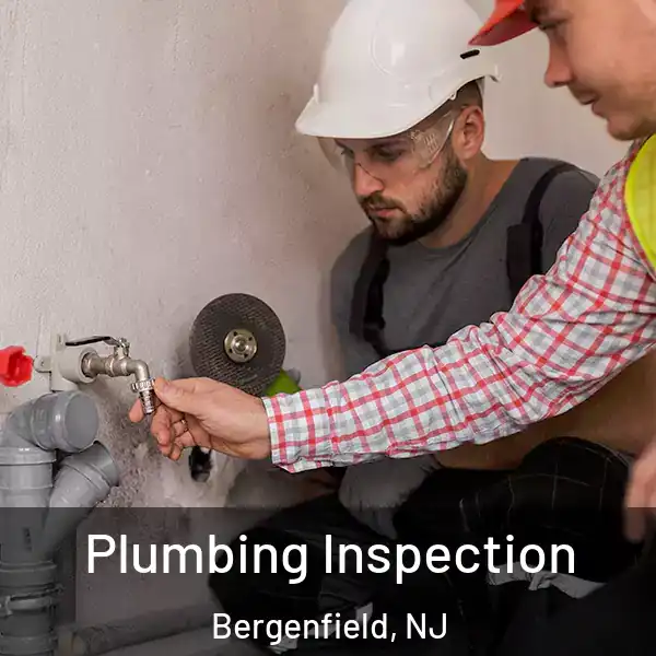  Plumbing Inspection Bergenfield, NJ