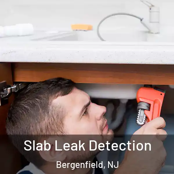  Slab Leak Detection Bergenfield, NJ