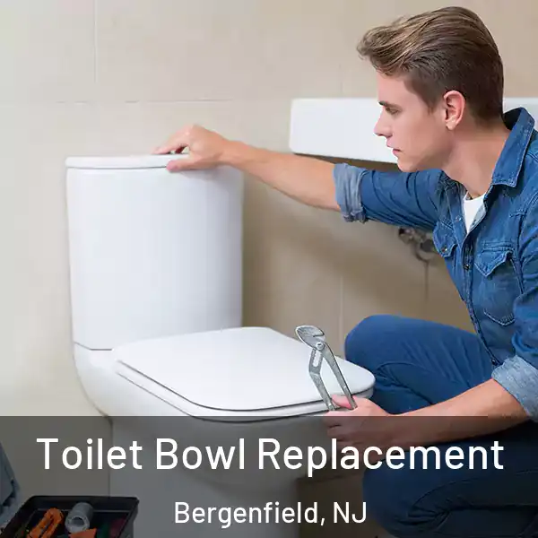  Toilet Bowl Replacement Bergenfield, NJ