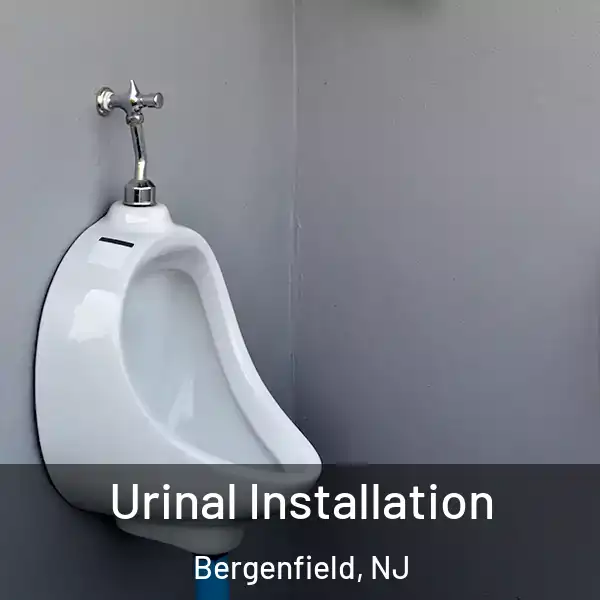  Urinal Installation Bergenfield, NJ