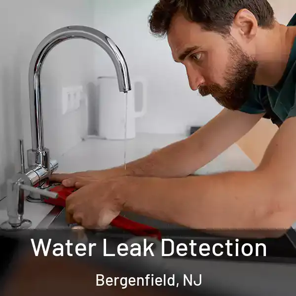  Water Leak Detection Bergenfield, NJ